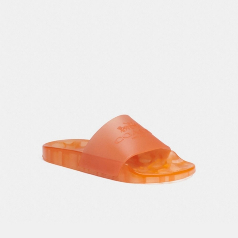 Coach Slides